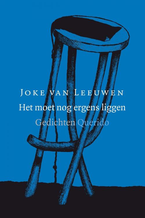 Cover of the book Het moet nog ergens liggen by Joke van Leeuwen, Singel Uitgeverijen