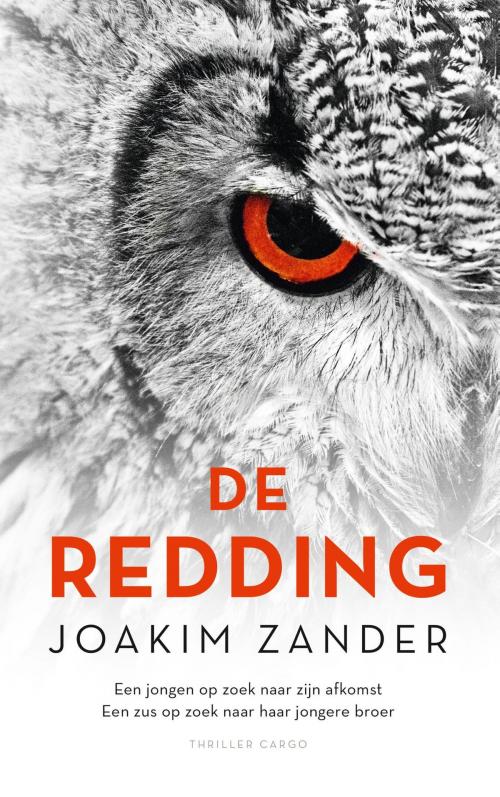 Cover of the book De redding by Joakim Zander, Bezige Bij b.v., Uitgeverij De