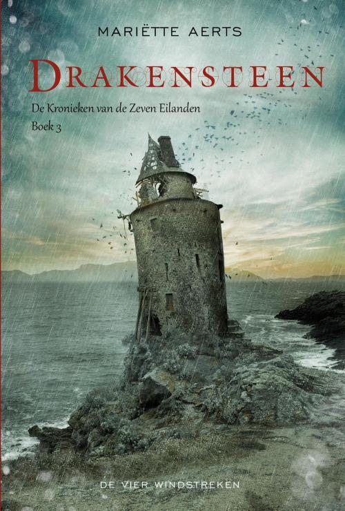 Cover of the book Drakensteen by Mariëtte Aerts, De Vier Windstreken