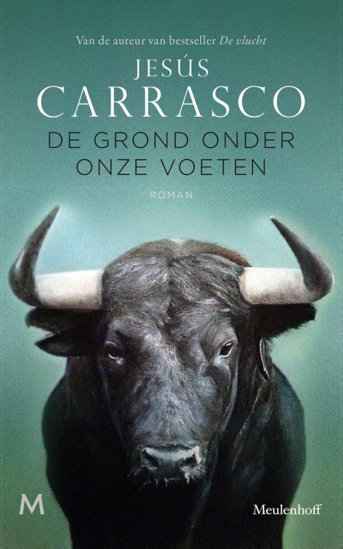 Cover of the book De grond onder onze voeten by Jesús Carrasco, Meulenhoff Boekerij B.V.