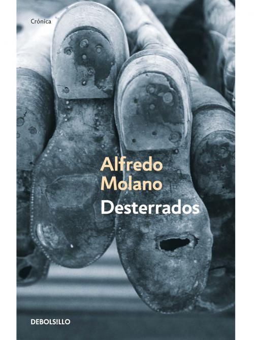 Cover of the book Desterrados by Alfredo Molano, Penguin Random House Grupo Editorial Colombia