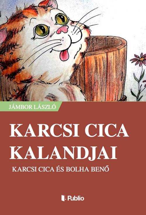 Cover of the book Karcsi cica kalandjai by Jámbor László, Publio Kiadó