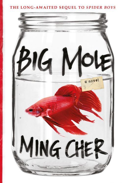 Cover of the book Big Mole by Ming Cher, Epigram Books