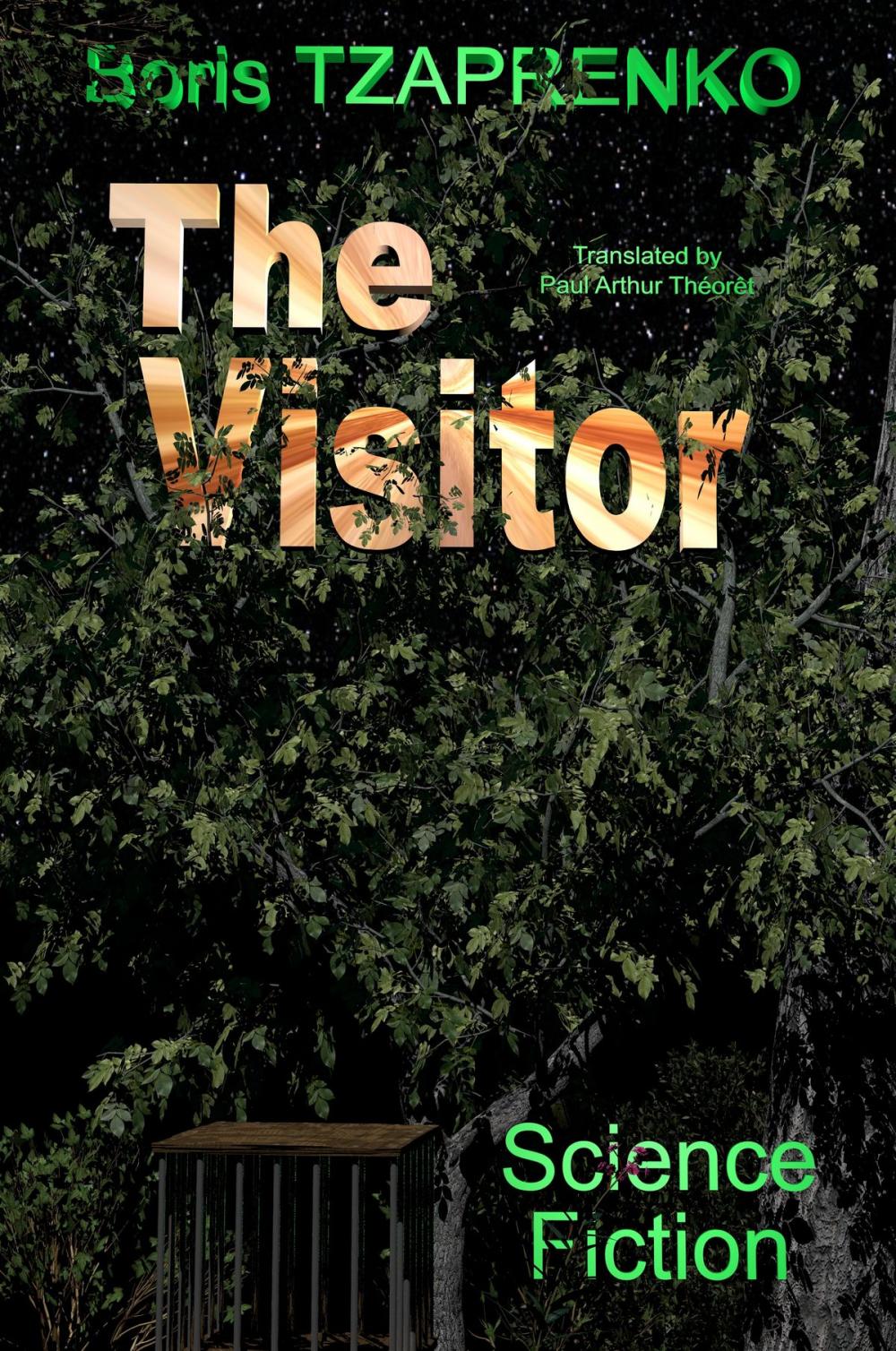 Big bigCover of The Visitor