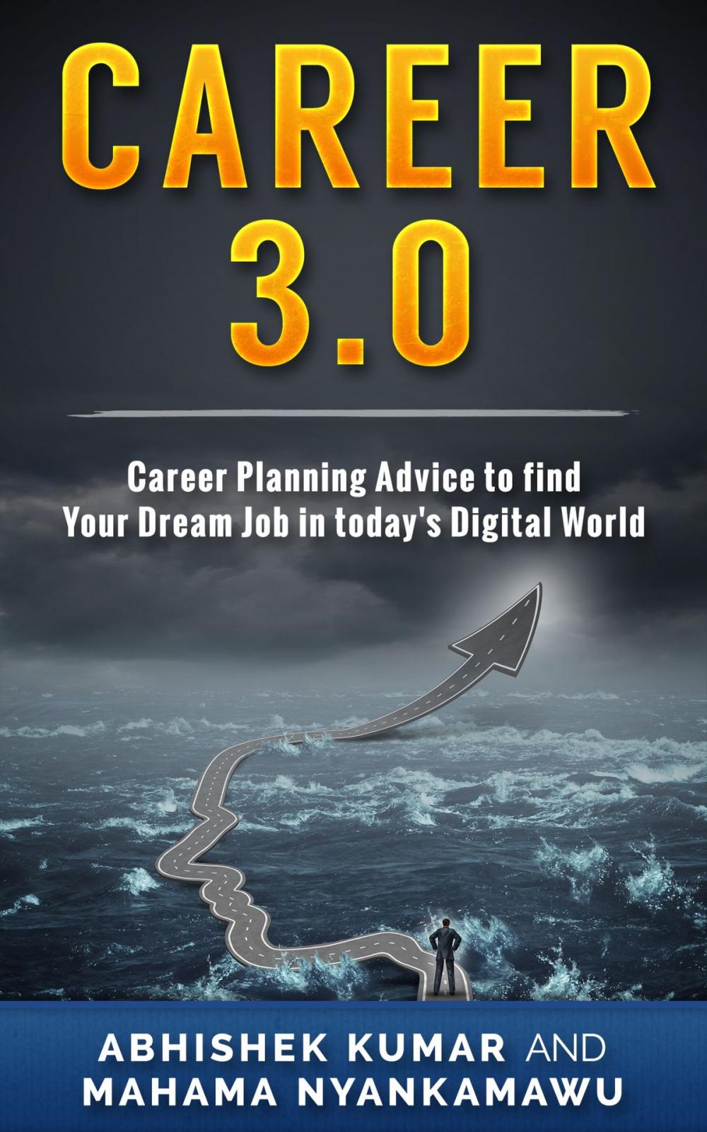 Big bigCover of Career 3.0