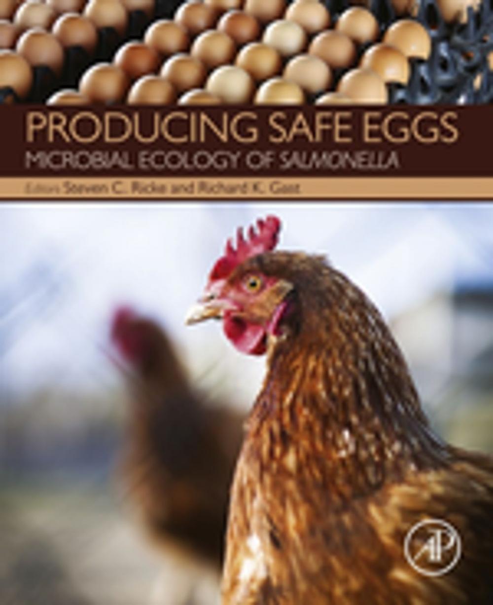Big bigCover of Producing Safe Eggs