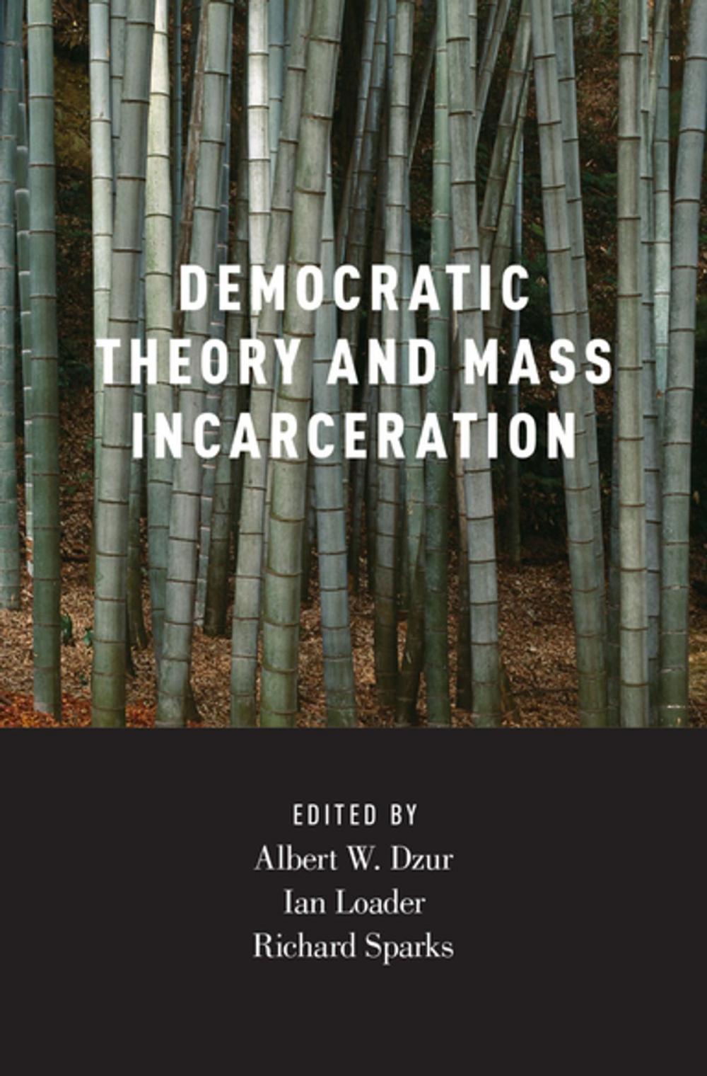Big bigCover of Democratic Theory and Mass Incarceration