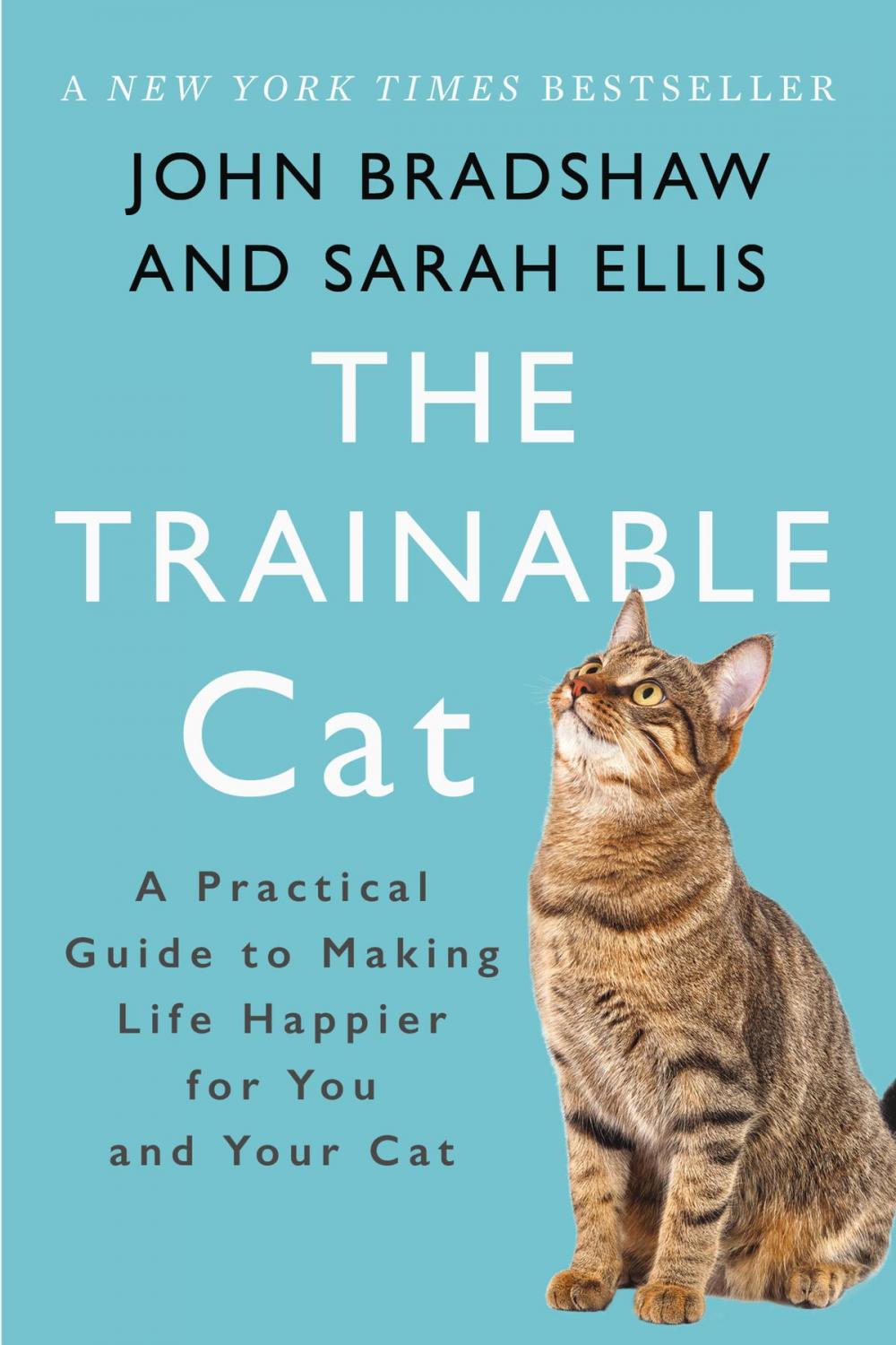 Big bigCover of The Trainable Cat