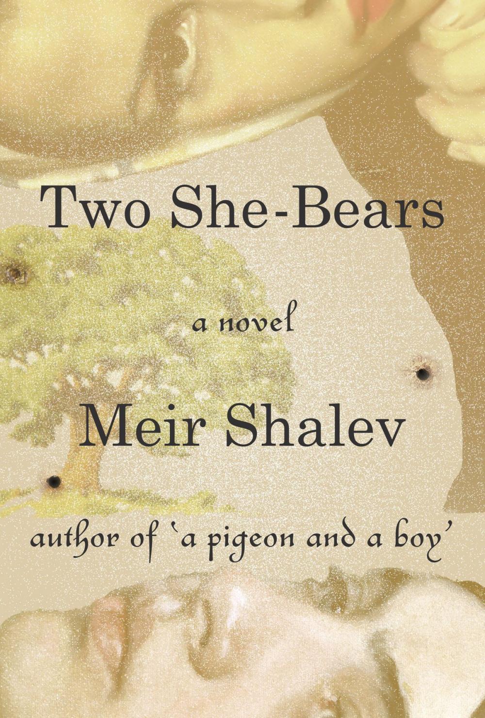 Big bigCover of Two She-Bears