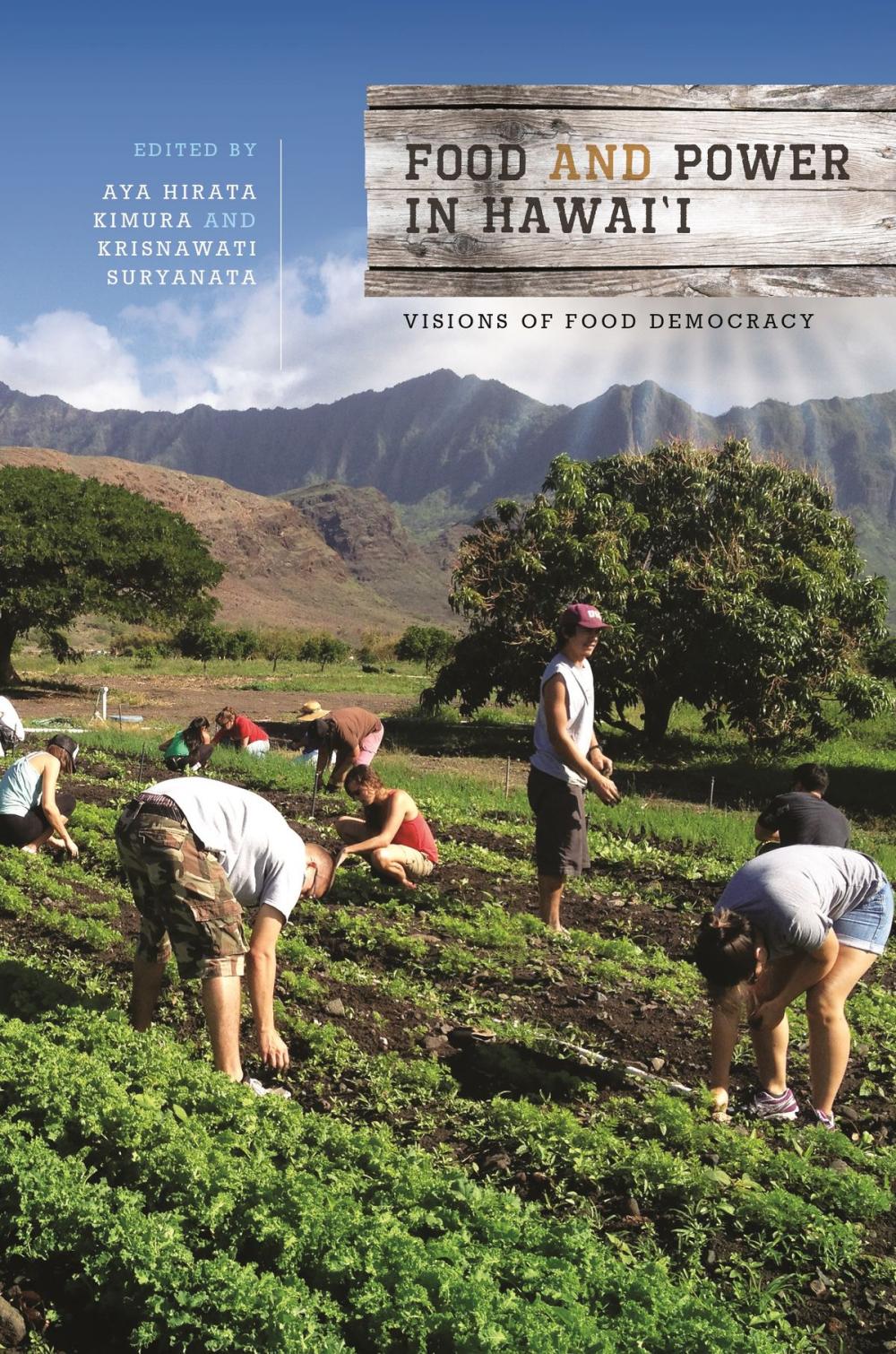 Big bigCover of Food and Power in Hawai‘i