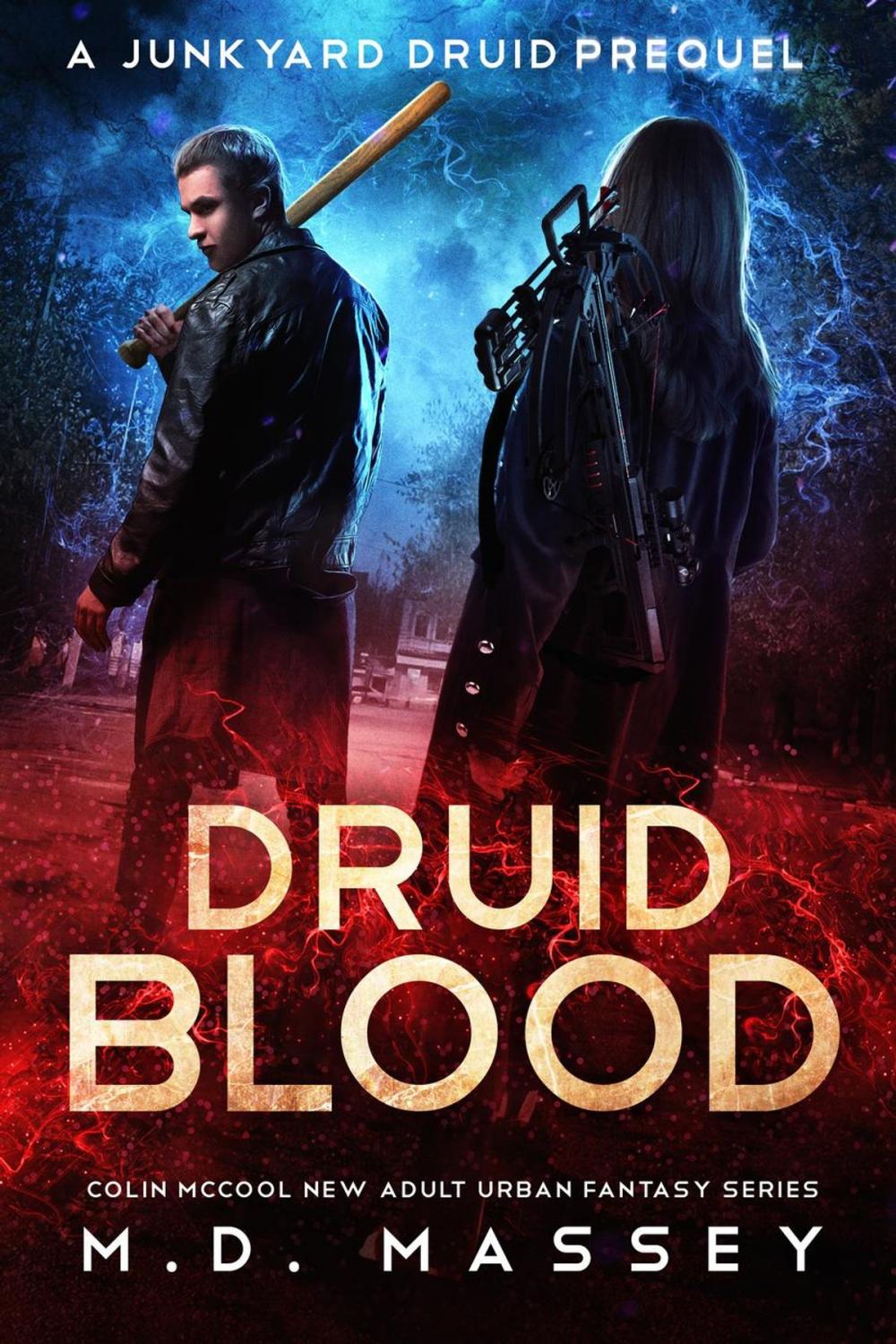 Big bigCover of Druid Blood