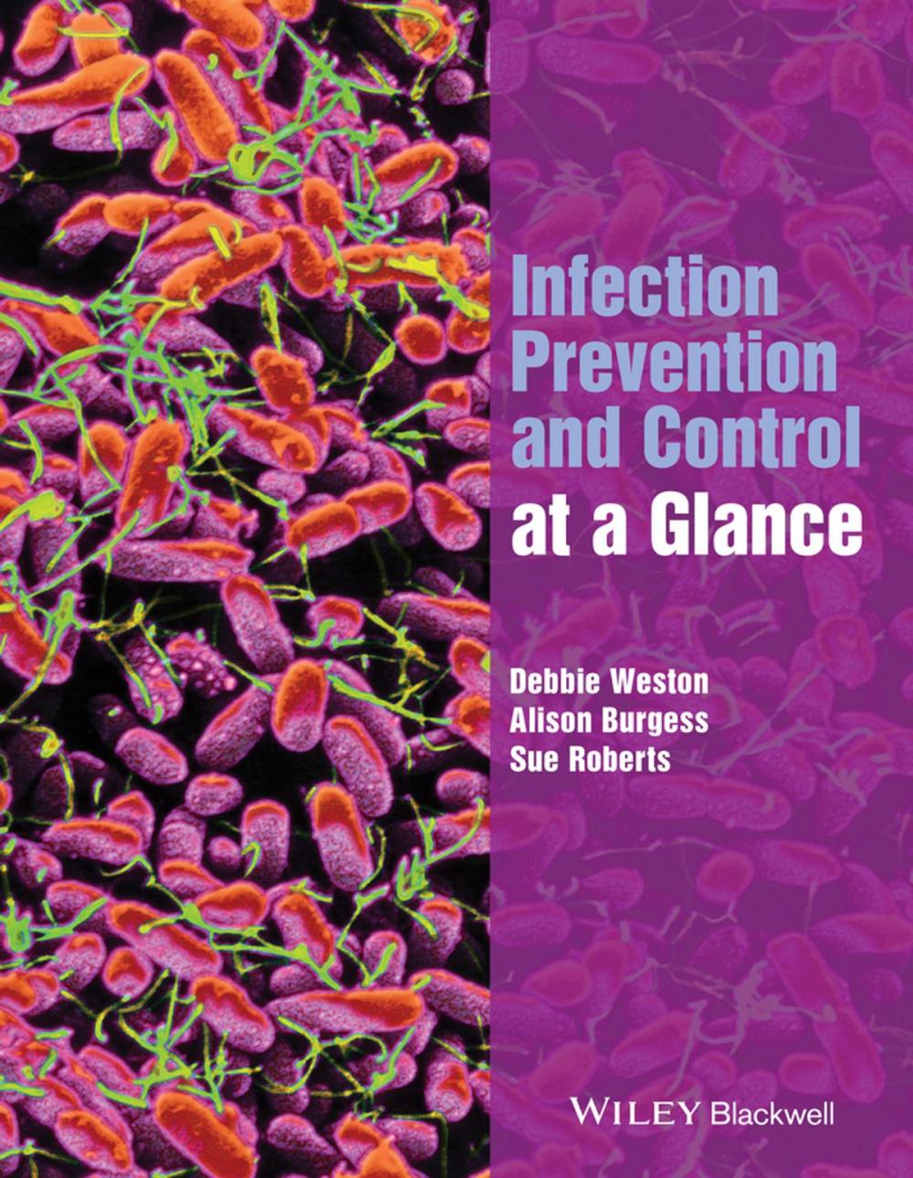 Big bigCover of Infection Prevention and Control at a Glance