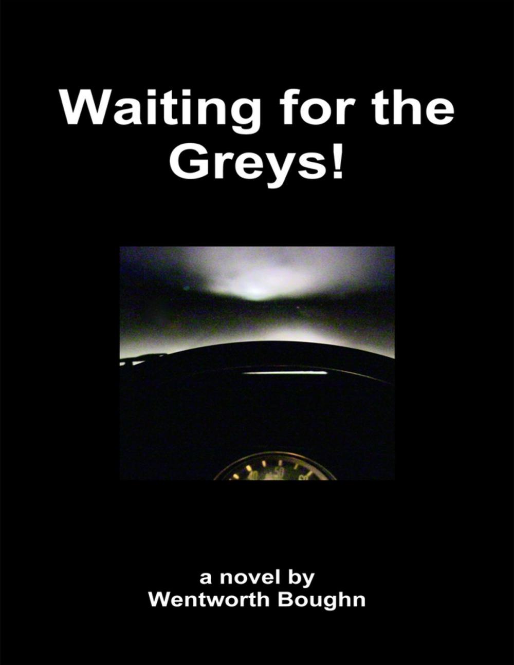 Big bigCover of Waiting for the Greys!