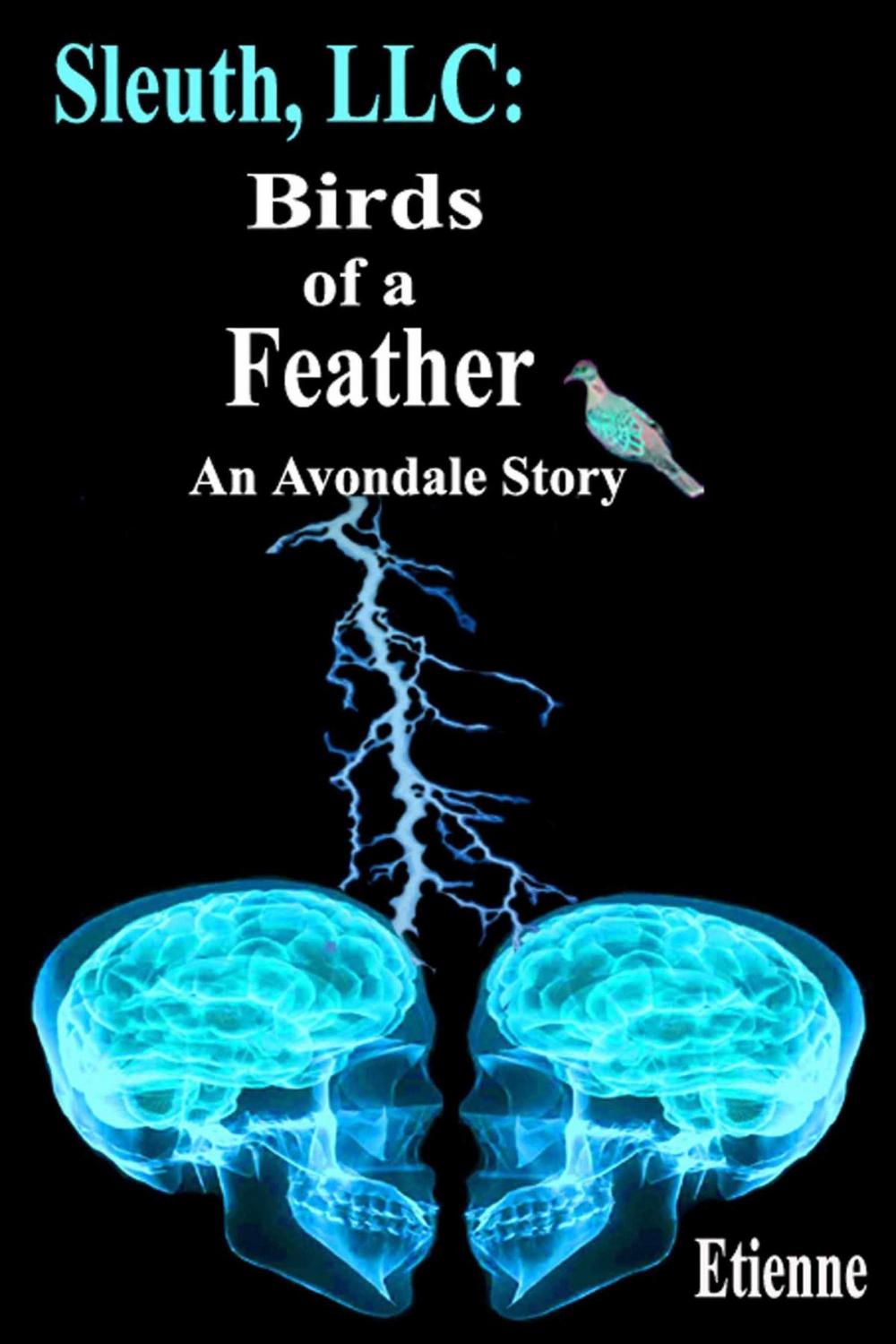 Big bigCover of Sleuth, LLC: Birds of a Feather (an Avondale Story)
