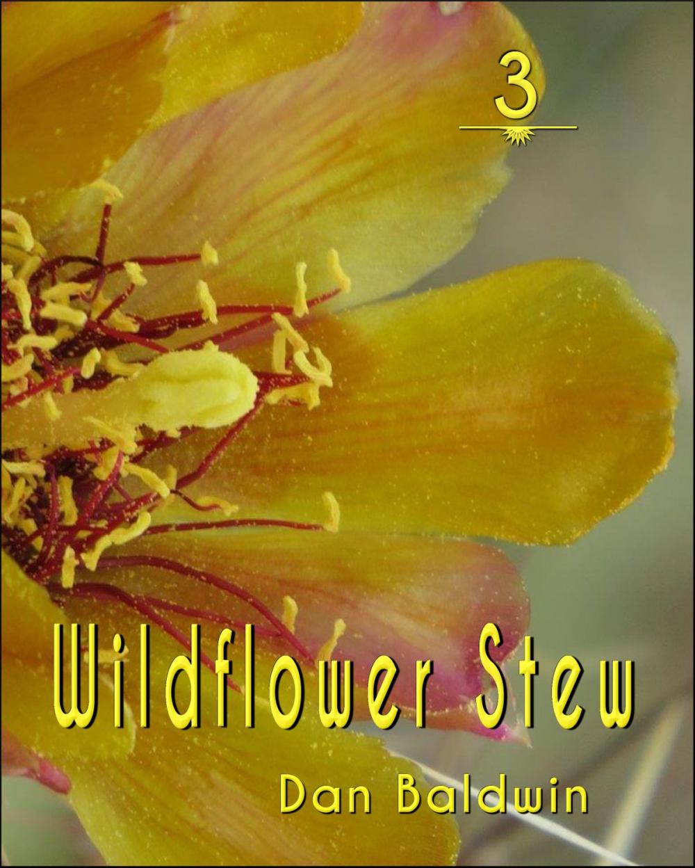 Big bigCover of Wildflower Stew 3