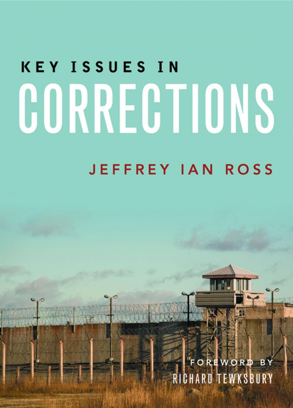 Big bigCover of Key issues in corrections