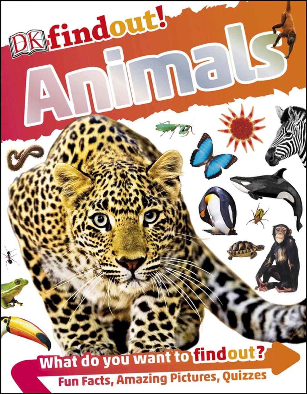 Big bigCover of DKfindout! Animals