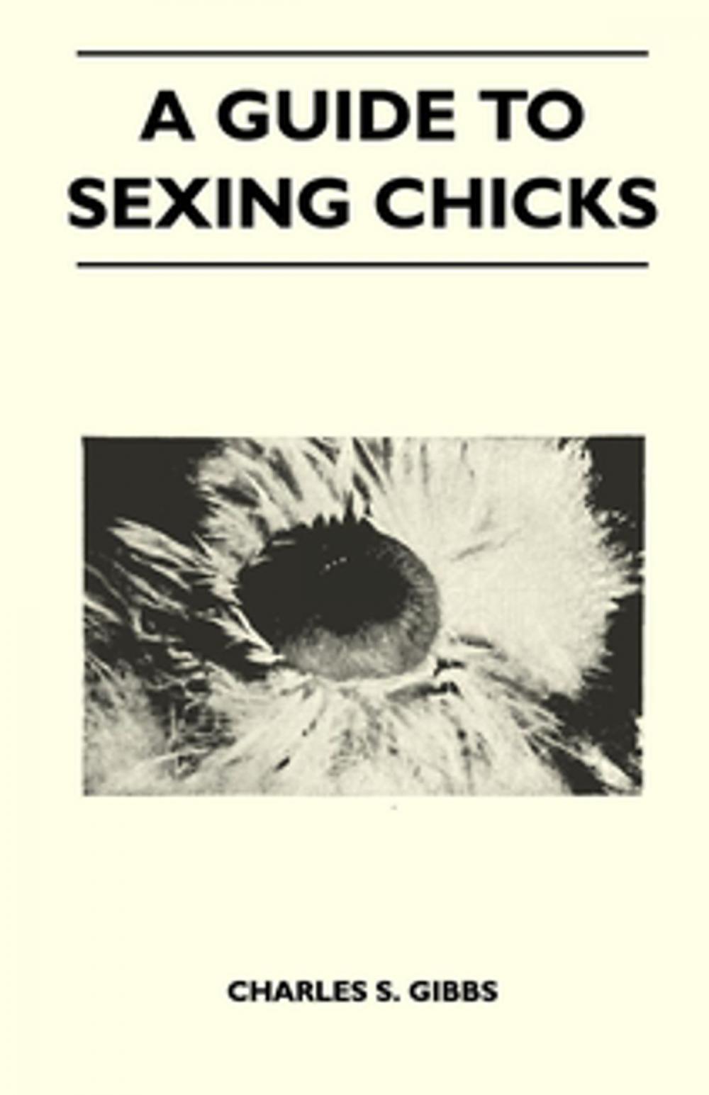 Big bigCover of A Guide To Sexing Chicks
