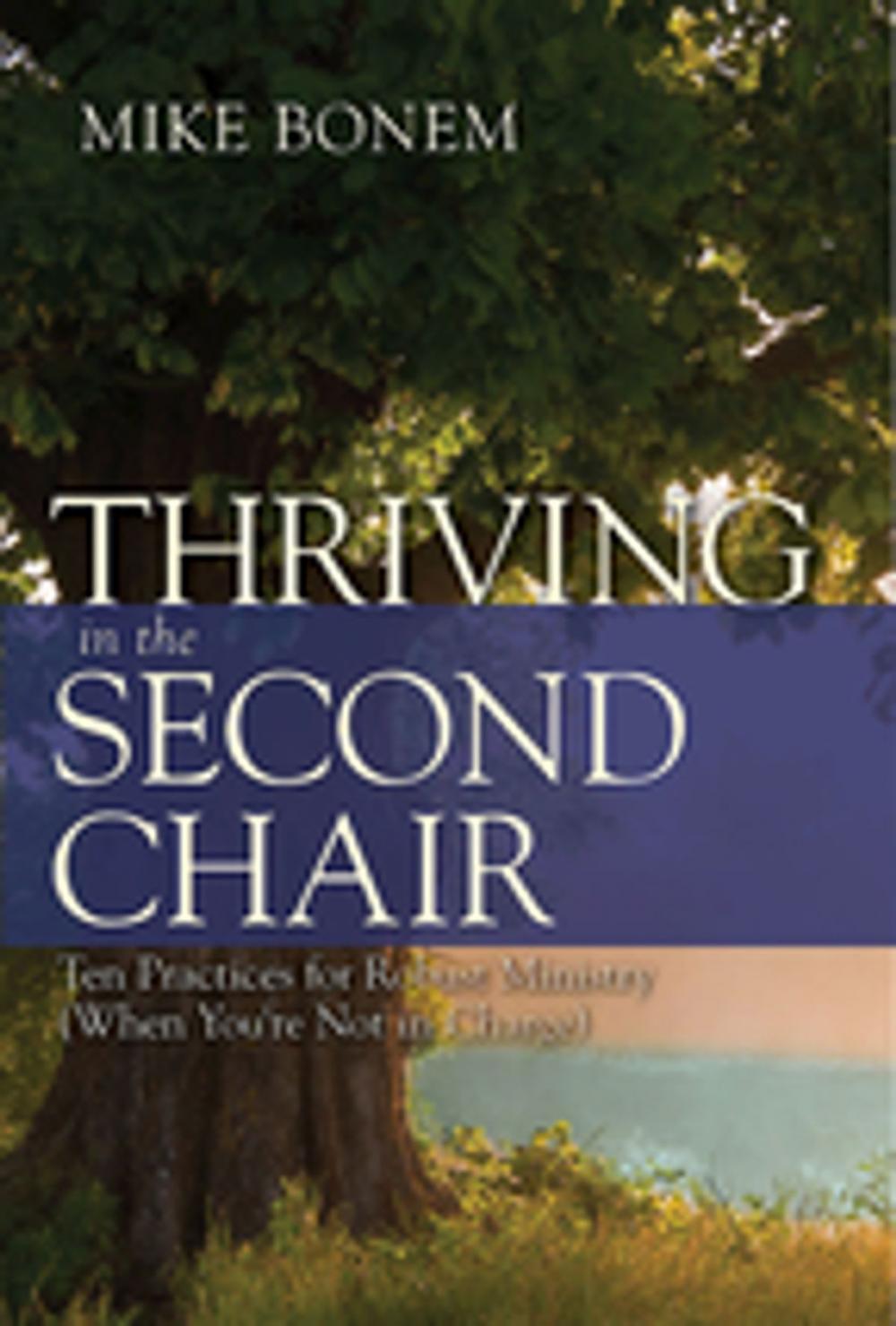 Big bigCover of Thriving in the Second Chair