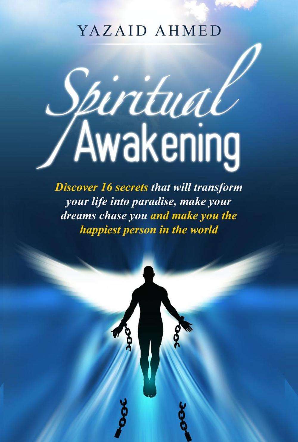 Big bigCover of Spiritual Awakening