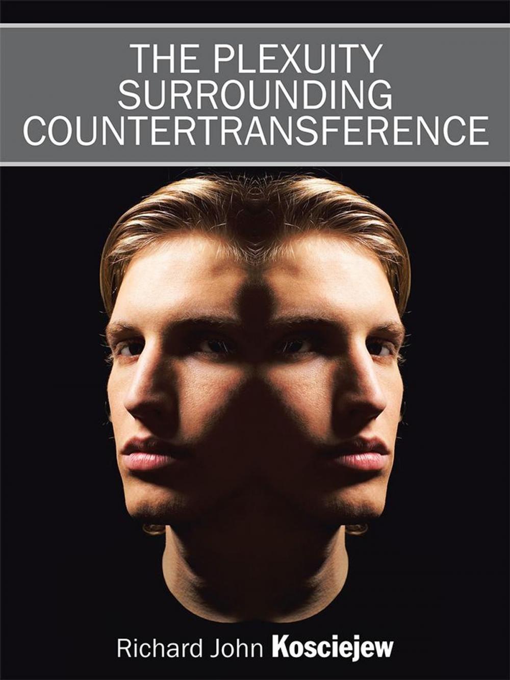 Big bigCover of The Plexuity Surrounding Countertransference
