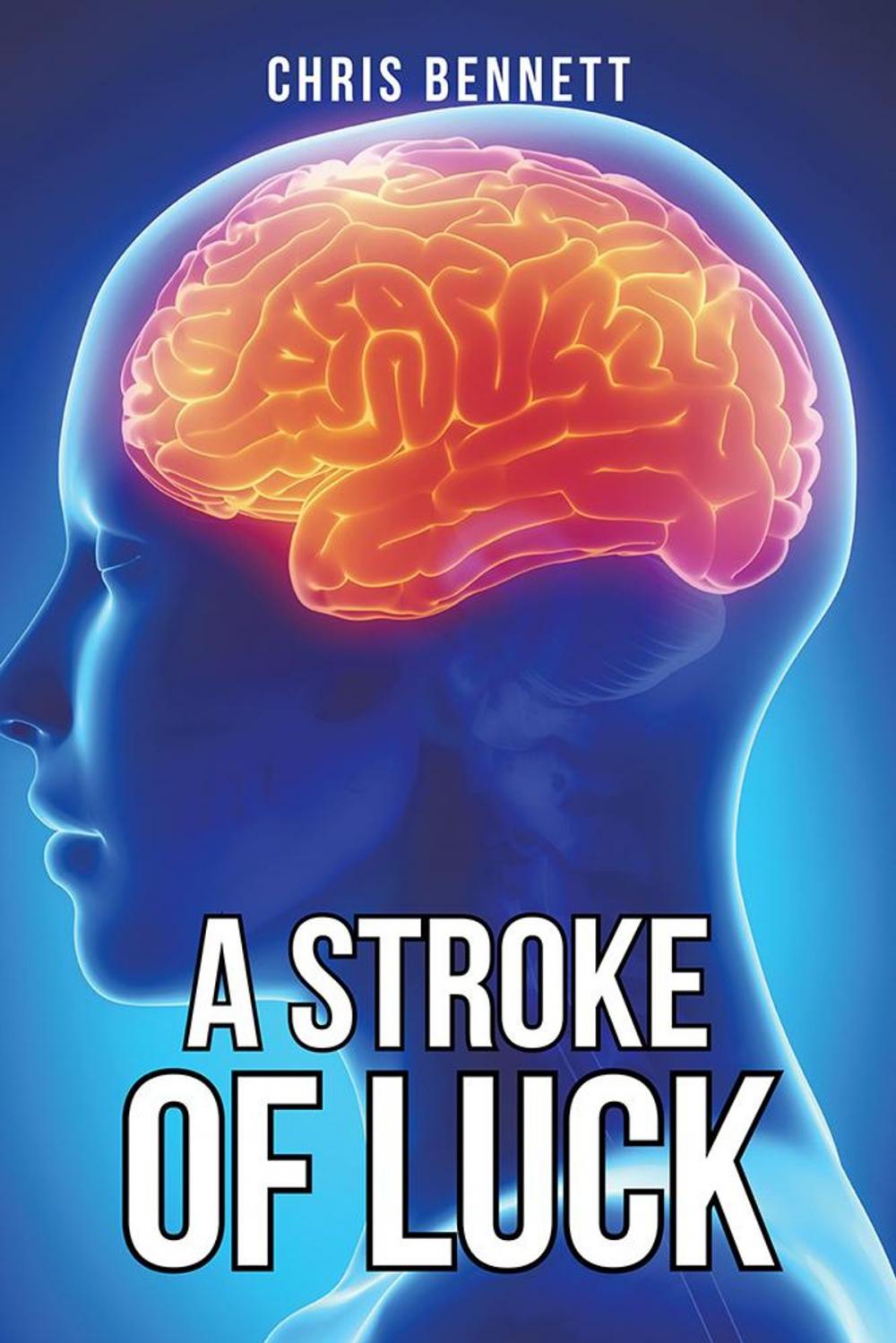 Big bigCover of A Stroke of Luck