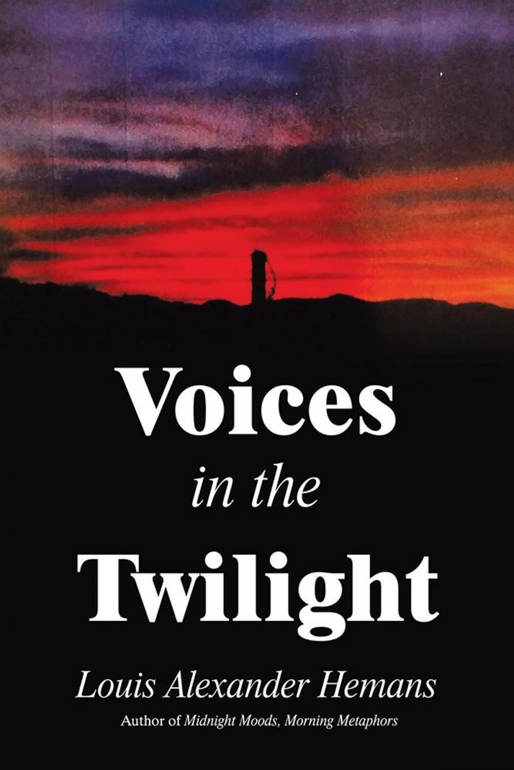 Big bigCover of Voices in the Twilight