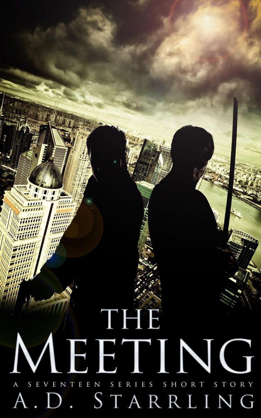 Big bigCover of The Meeting (A Seventeen Series Short Story #3)