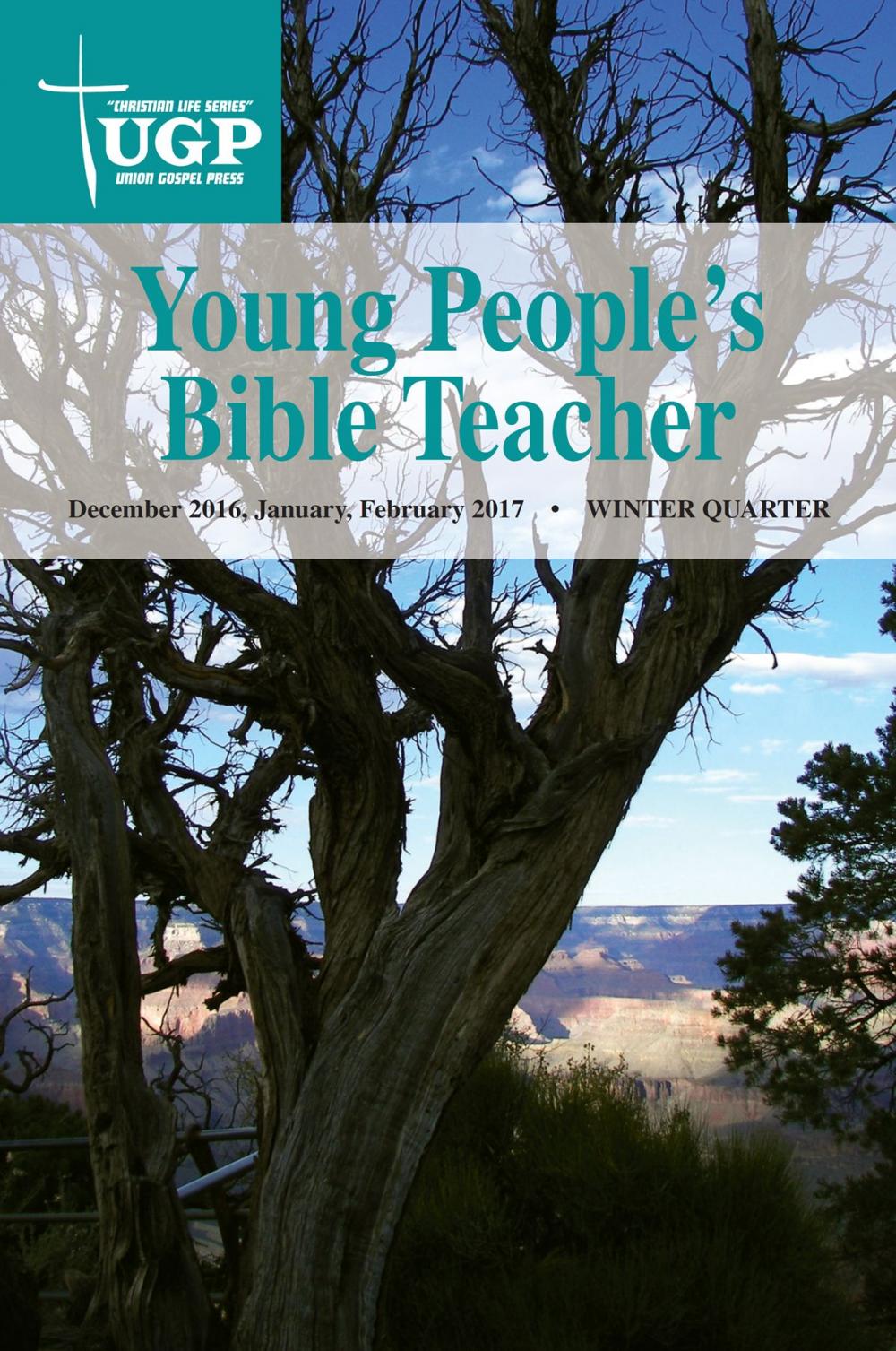Big bigCover of Young People's Bible Teacher
