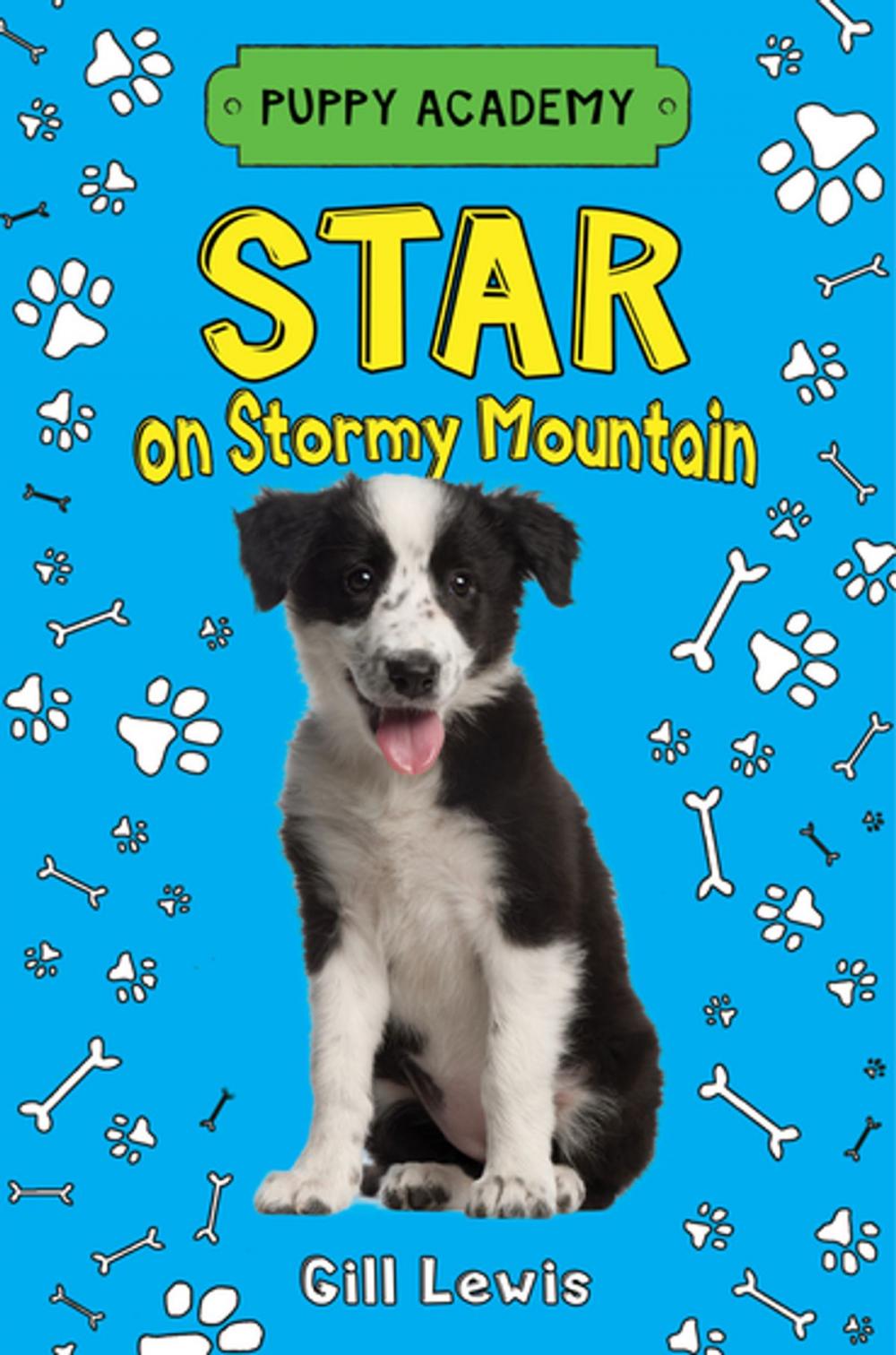 Big bigCover of Star on Stormy Mountain