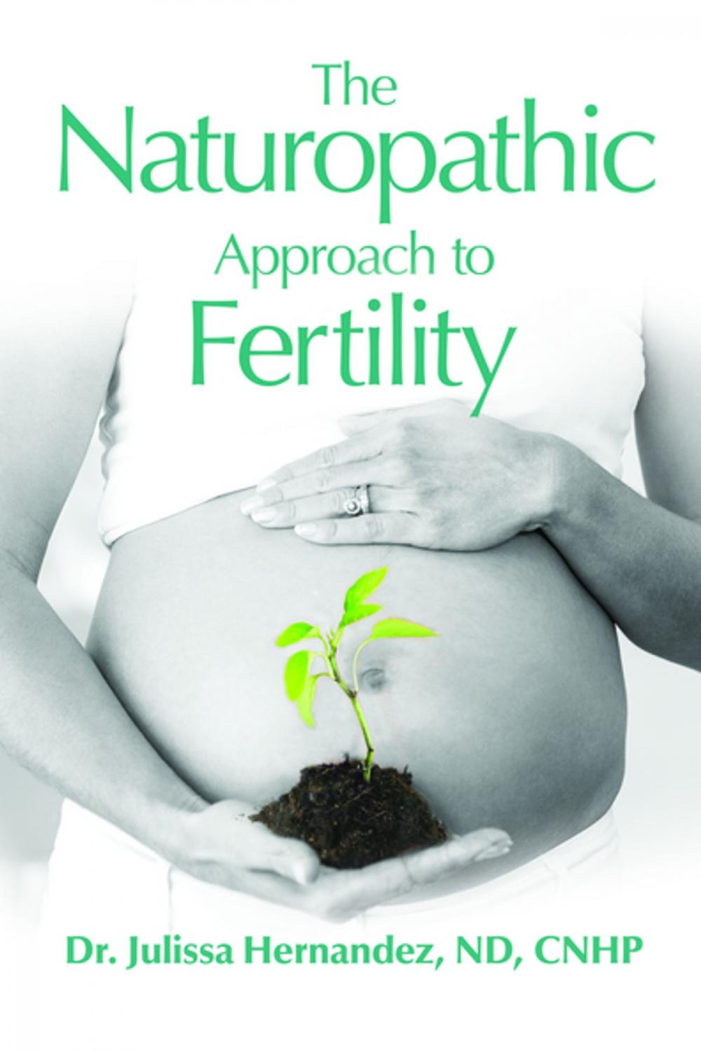 Big bigCover of The Naturopathic Approach to Fertility