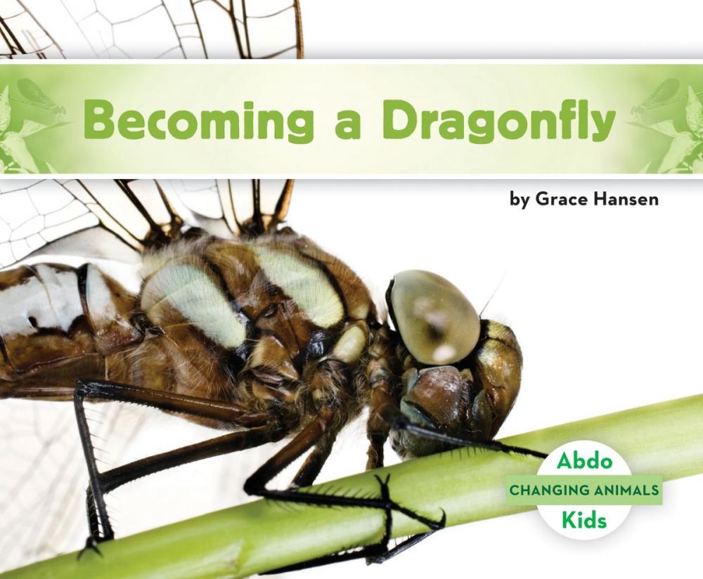Big bigCover of Becoming a Dragonfly