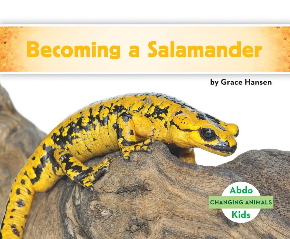 Big bigCover of Becoming a Salamander
