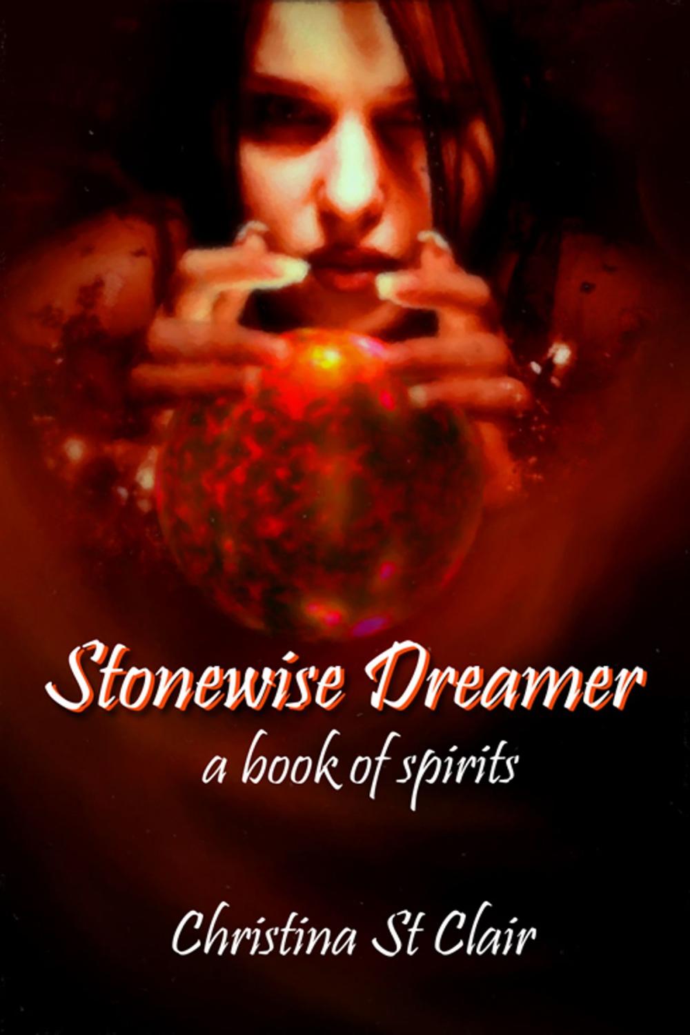 Big bigCover of Stonewise Dreamer