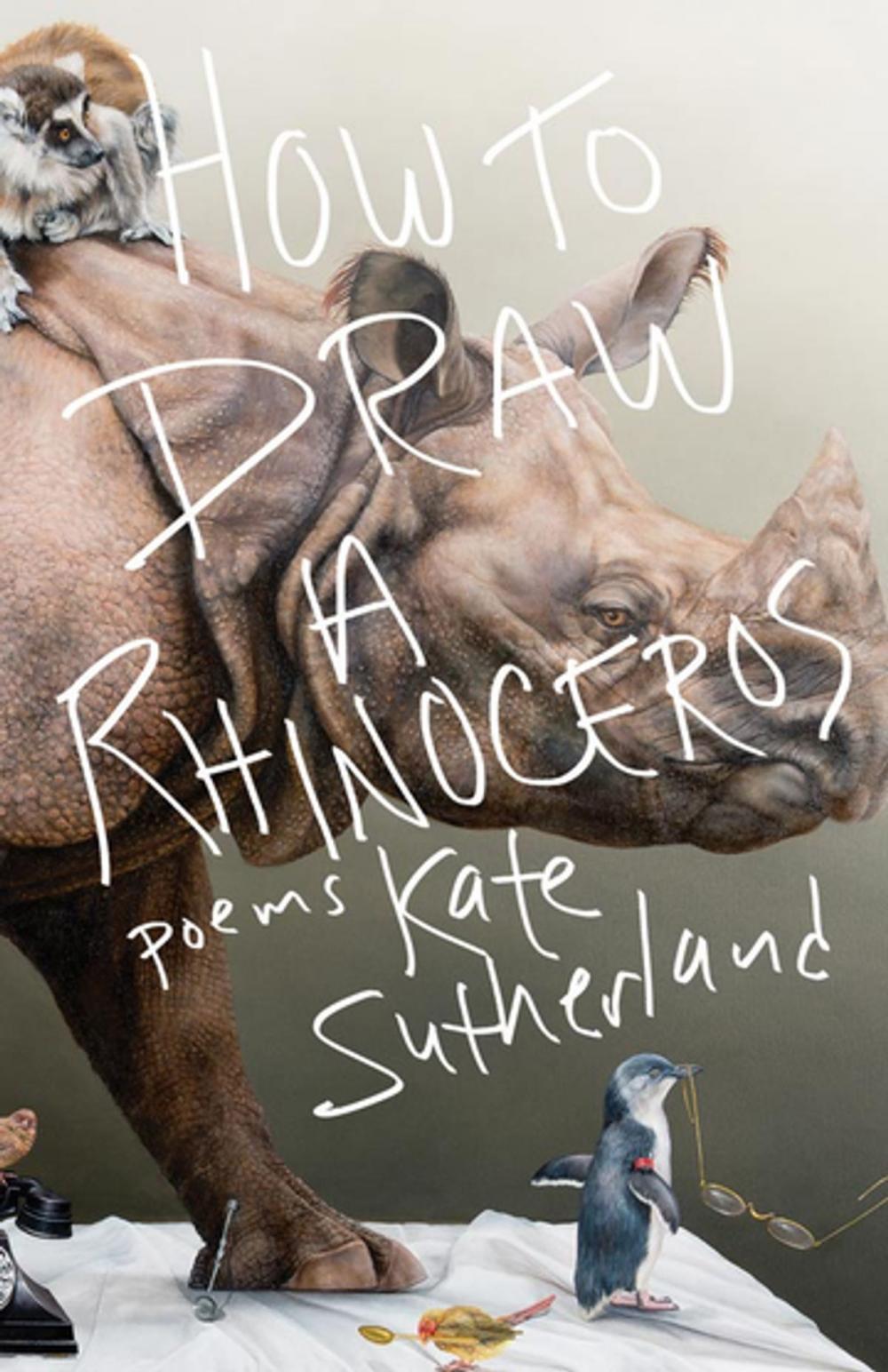 Big bigCover of How to Draw a Rhinoceros