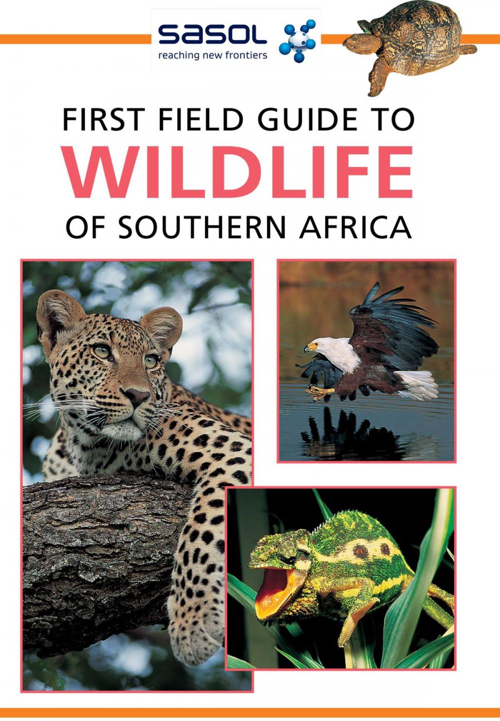 Big bigCover of First Field Guide to Wildlife of Southern Africa