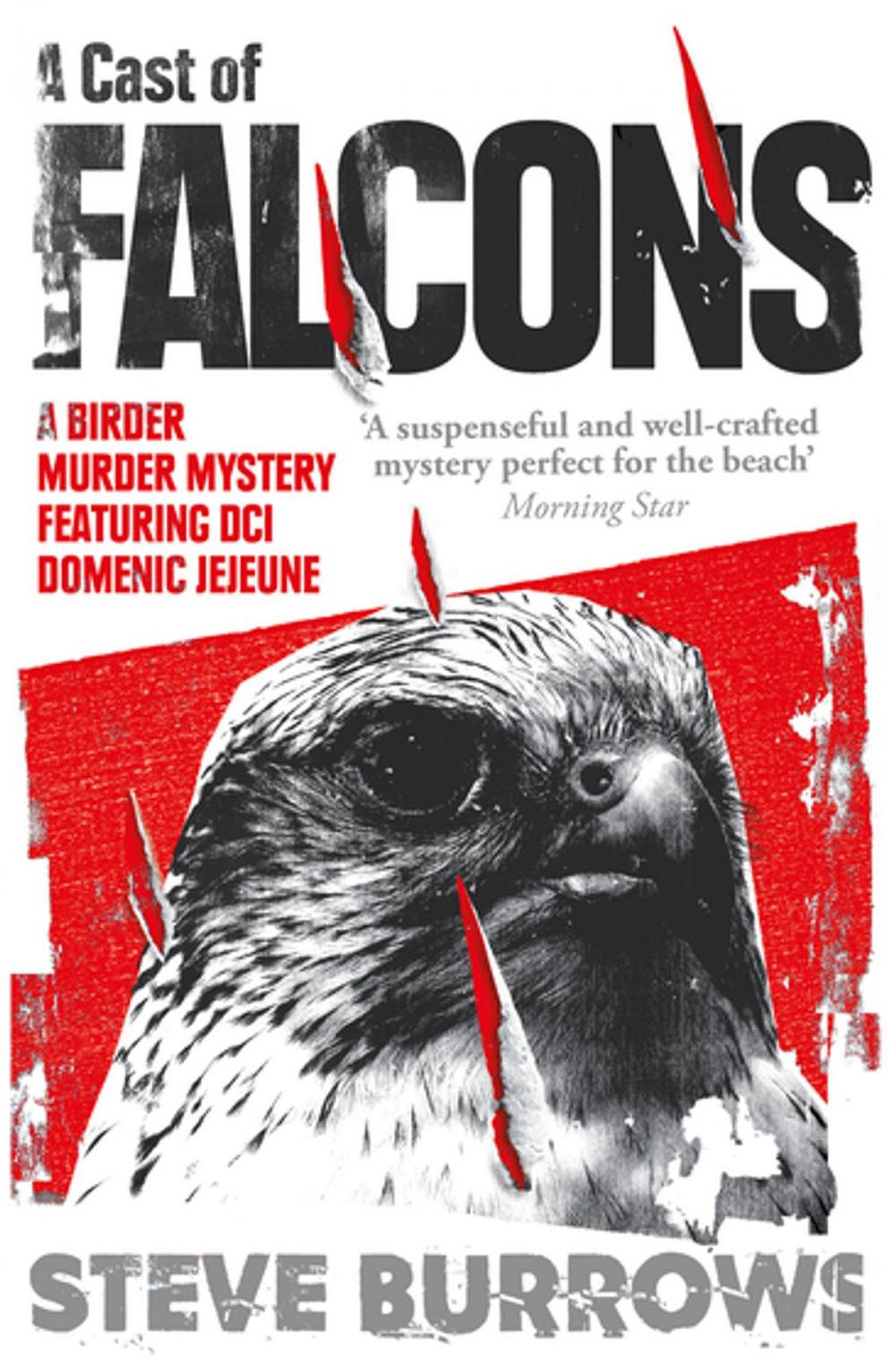 Big bigCover of A Cast of Falcons