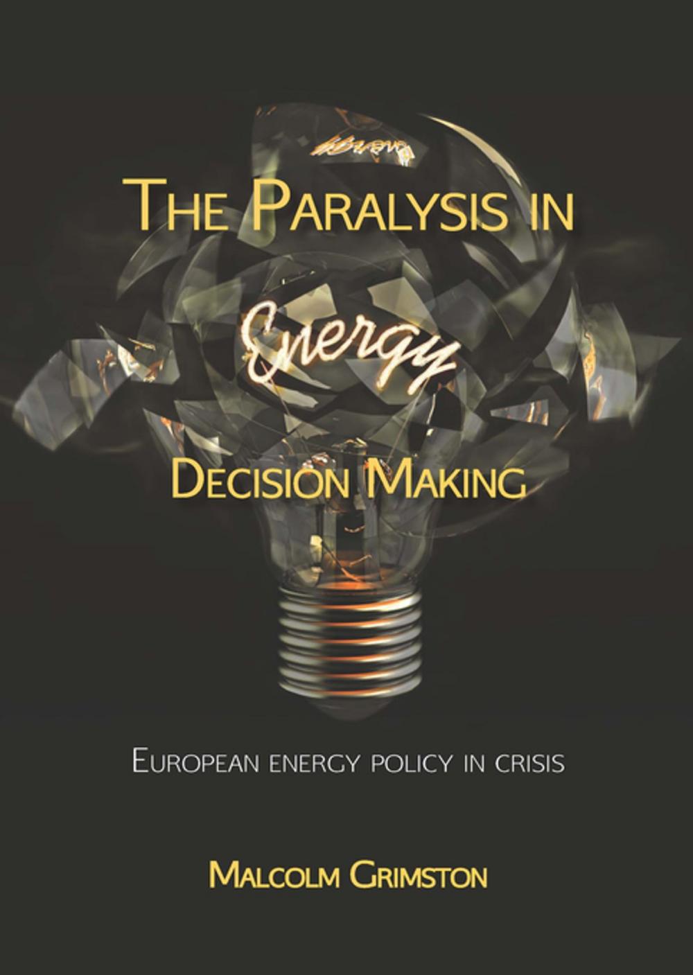 Big bigCover of The Paralysis in Energy Decision Making