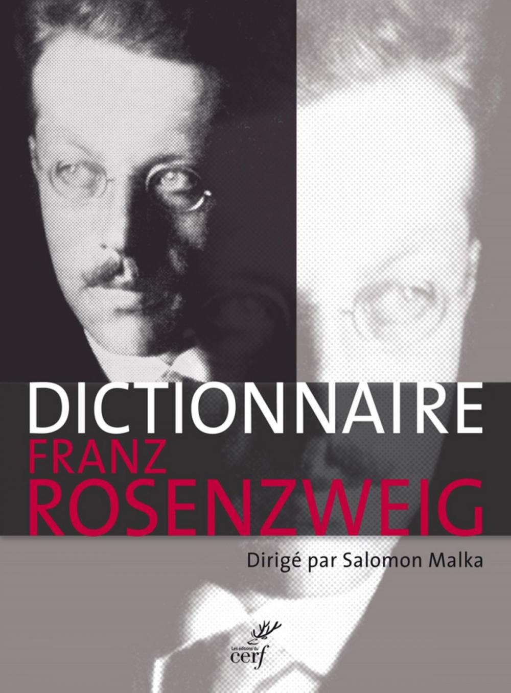 Big bigCover of Dictionnaire Franz Rosenzweig - Une étoile dans le siècle