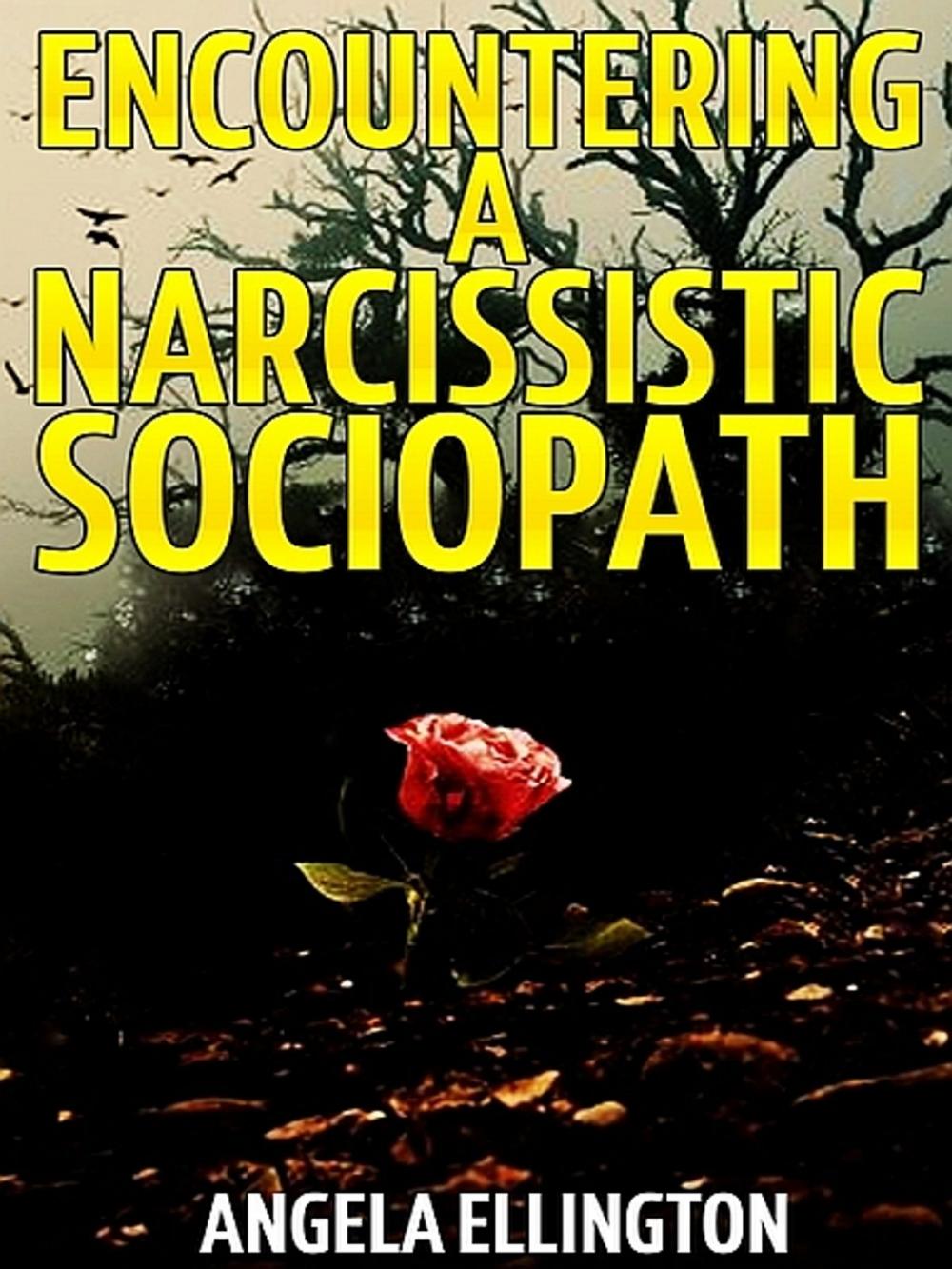 Big bigCover of Encountering a Narcissistic Sociopath