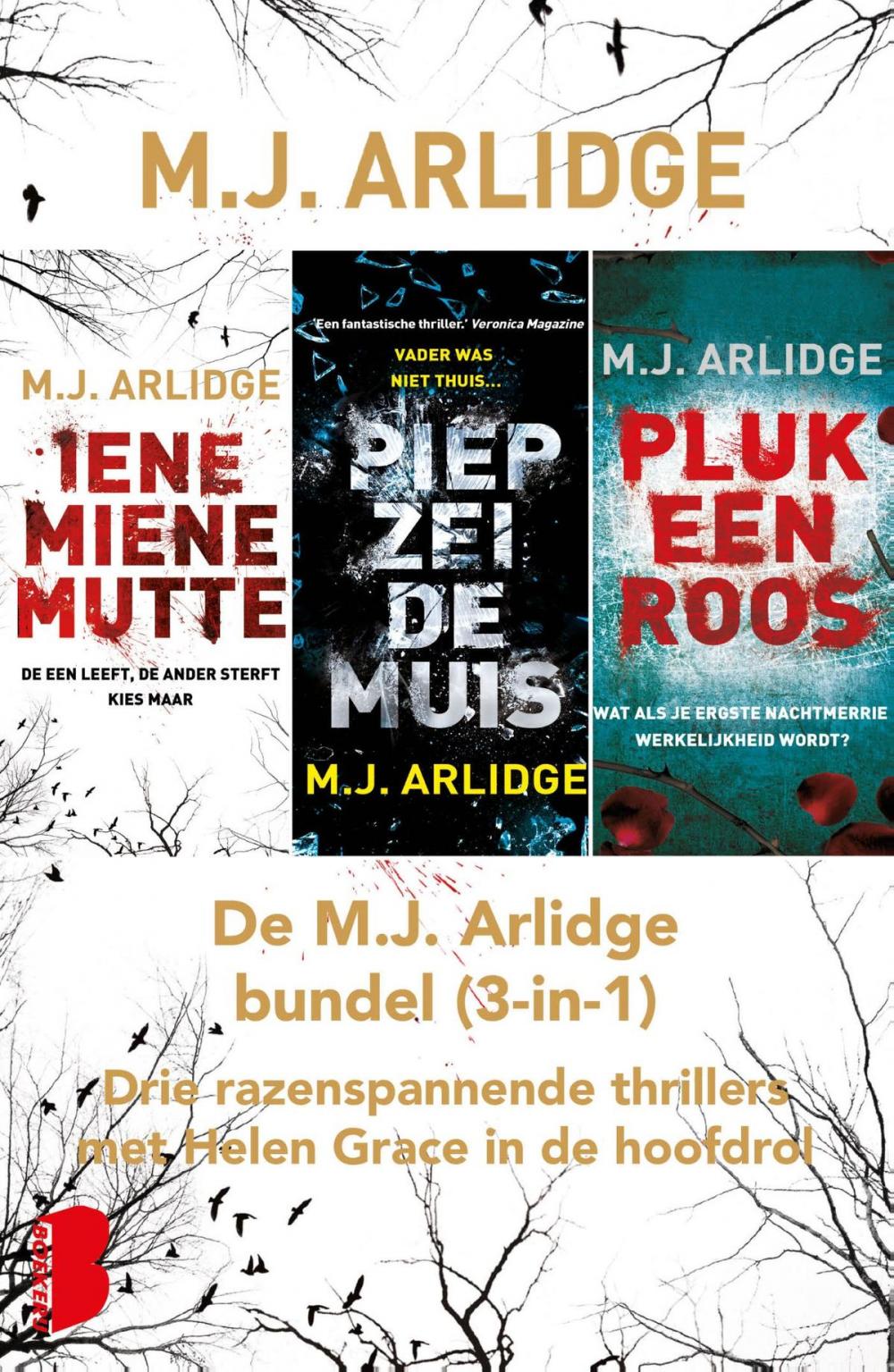 Big bigCover of De M.J. Arlidge bundel