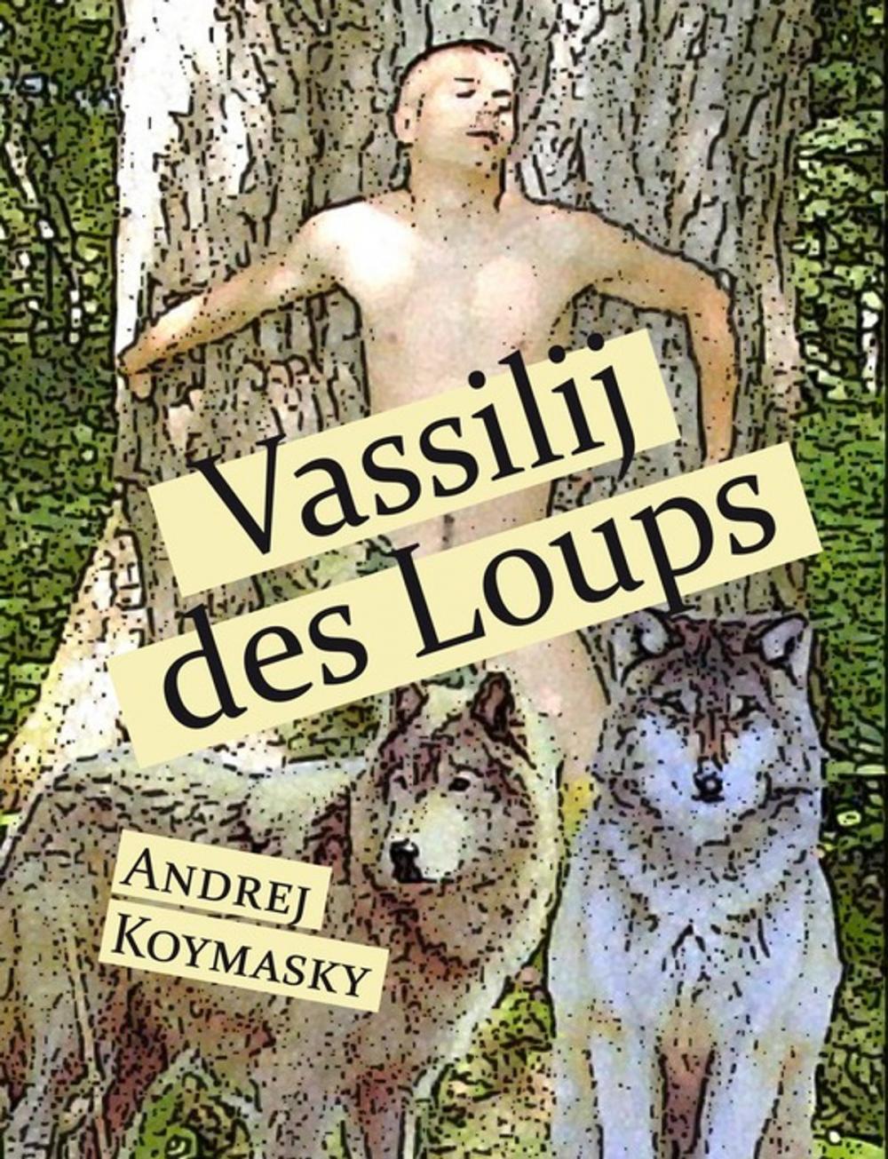 Big bigCover of Vassilij des Loups