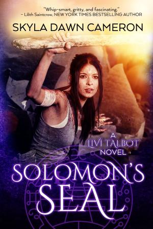 Cover of the book Solomon's Seal by Pamela Kelt