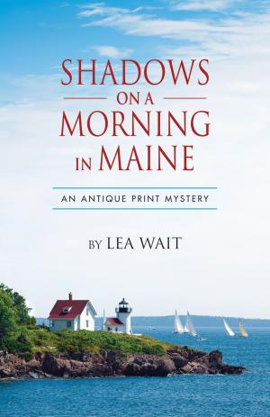 Book cover of Shadows on a Mornng in Maine