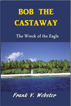 Book cover of Bob the Castaway
