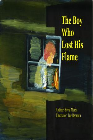 Cover of the book The Boy Who Lost His Flame by Randy Sultzer