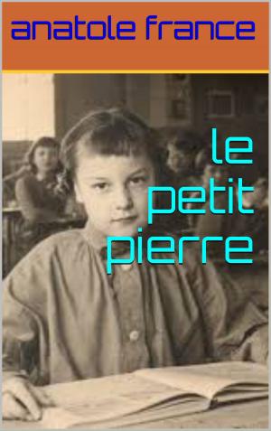 Book cover of le petit pierre