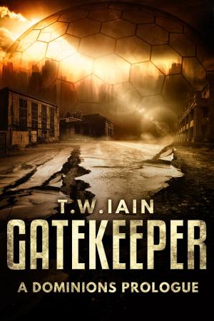 Cover of the book Gatekeeper by Ioana Visan