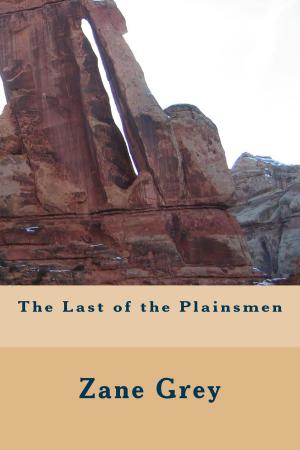 Cover of the book The Last of the Plainsmen (Illustrated Edition) by Edward L. Stratemeyer, A. Burnham Shute, Illustrator