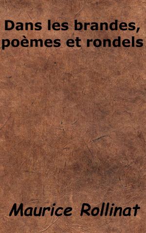 Cover of the book Dans les brandes, poèmes et rondels by Alfred Fouillée